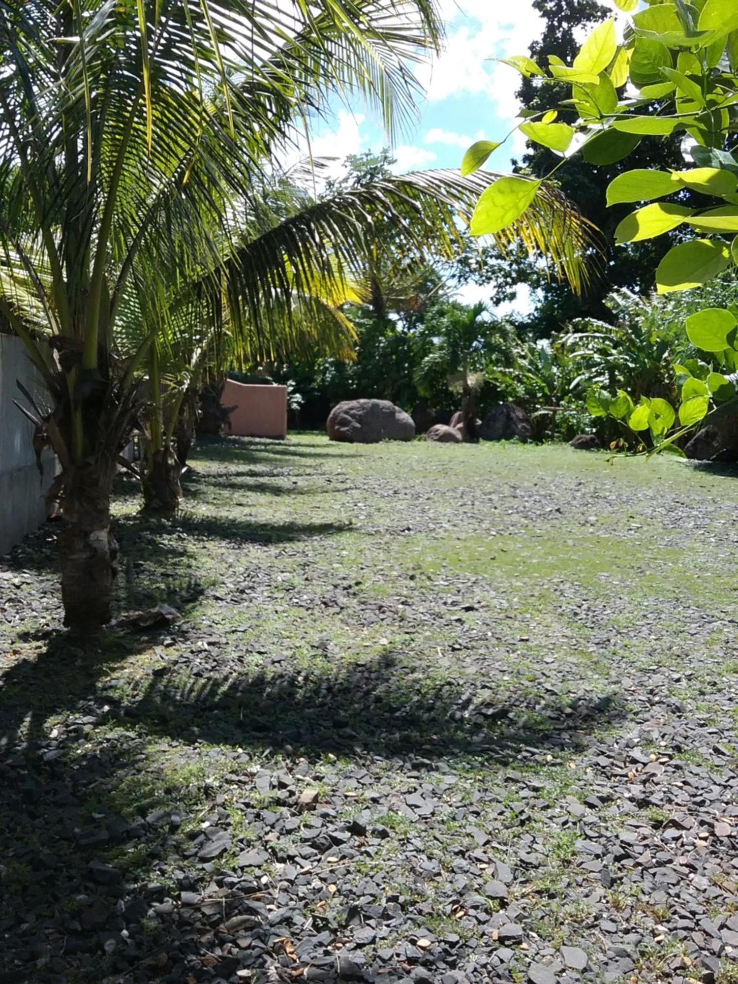 Dadi'S Little Paradis Sainte-Rose Exterior photo